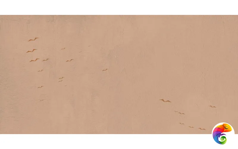 W&S D CP4 COUNTRY A 120X240