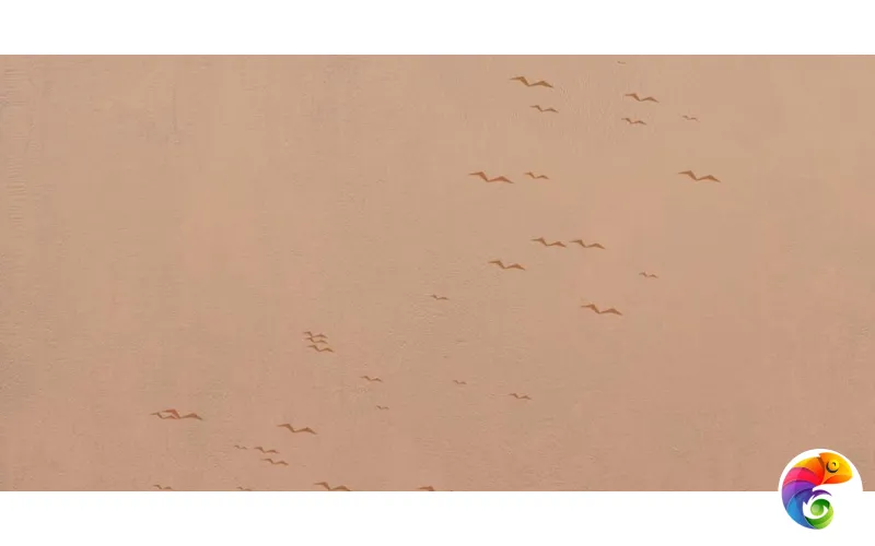 W&S D CP4 COUNTRY A 120X240