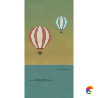 W&S D+ BALLOON B 160X320