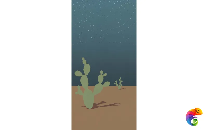 W&S D ARIZONA B 120x240