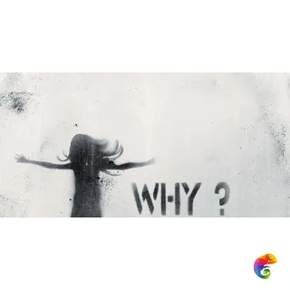 W&S D CP4 STREET A WHITE  120X240