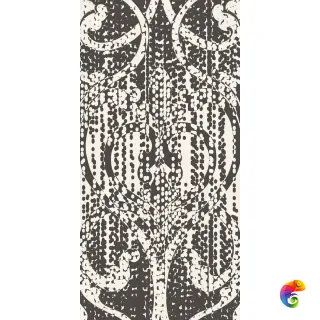 W&S D+ ANTIQUE BLACK 120x240