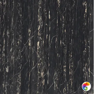 I CLASSICI PORTORO 6MM GLOSSY 160X160R