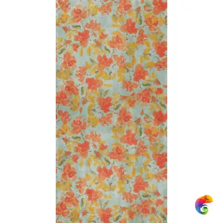 W&S D BRUSH TANGERINE 120x240