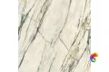 Керамогранит SPR.TREAS.CALACATTA EM. LUX R 120X120