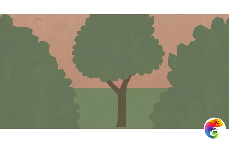 W&S D CP4 COUNTRY C  120X240