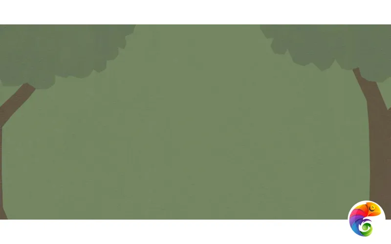 W&S D CP4 COUNTRY C  120X240