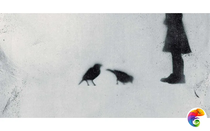 W&S D CP4 STREET B WHITE  120X240