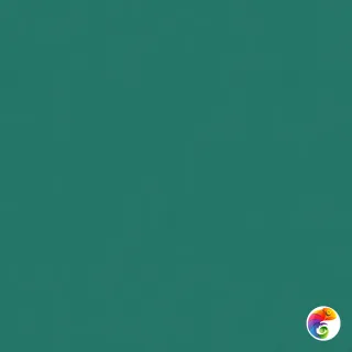 Керамический гранит  W&S FL. RAINBOW BOSCO 120X120