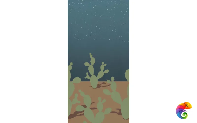 W&S D+ ARIZONA C 160X320