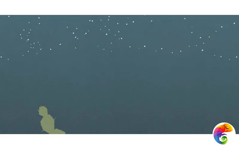 W&S D+  CP4 ARIZONA B 120X240