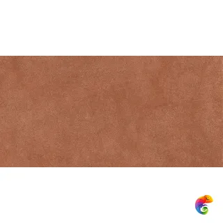 SENSI TERRE GRANA MATTONE LITH 60X120 6MM