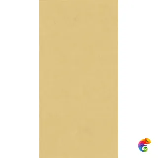 WIDE&STYLE MINI GINGER RET 60х120