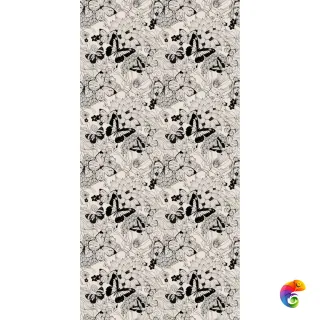 W&S D+ PAINT  THE BUTTERFLY  120x240