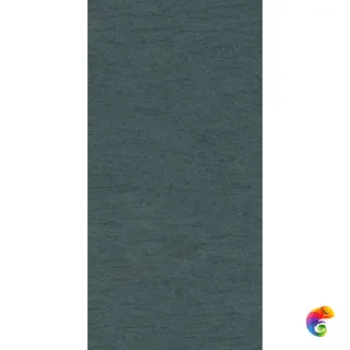 PTR.STN.RE BASAL.DARK ASH NAT R60X120