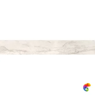 OYSTER LAPP.RETT. 	20X120