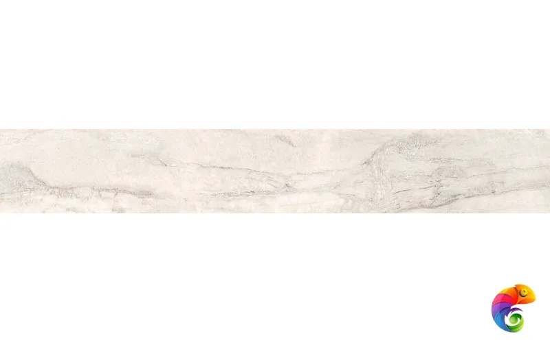 OYSTER LAPP.RETT. 	20X120