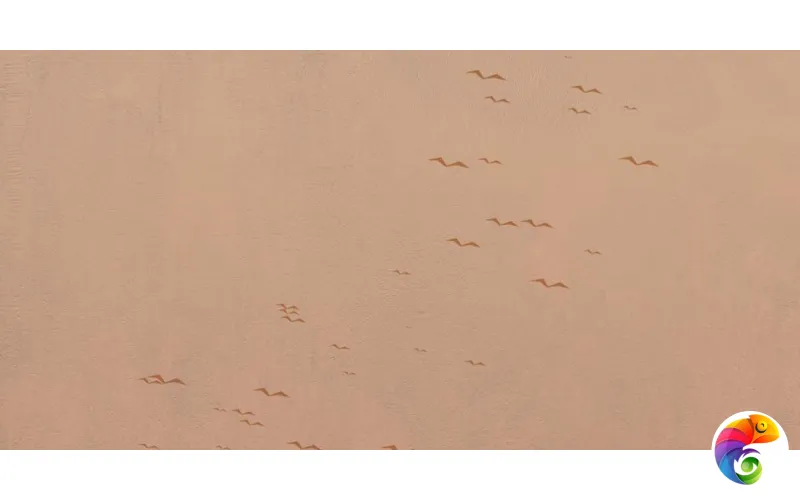 W&S D CP4 COUNTRY B  120х240