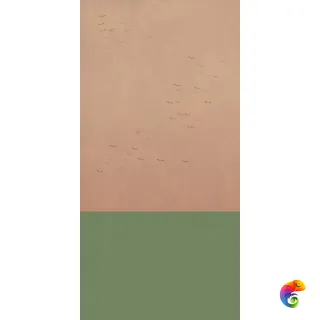 W&S D COUNTRY A  120x240