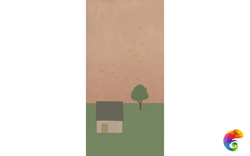 W&S D COUNTRY B  120x240