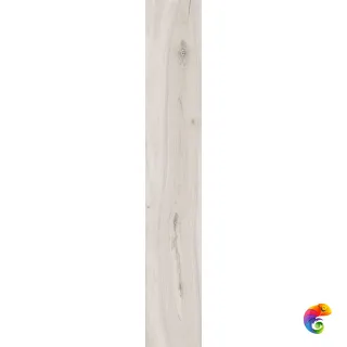 KAURI AWANUI LAP RETT 	20x120