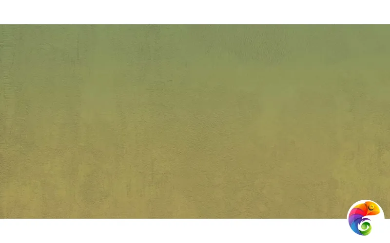 W&S D+ CP4 BALLOON A  120X240