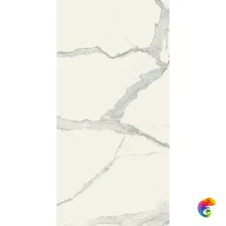 STATUARIO CHAIN E 6MM GLOSSY 120X240