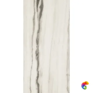 PREXIOUS REX WHITE FANTASY GLO 60X120 R