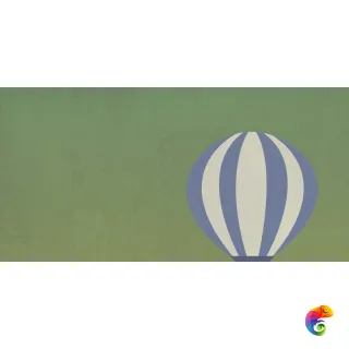 W&S D CP4 BALLOON C  120X240