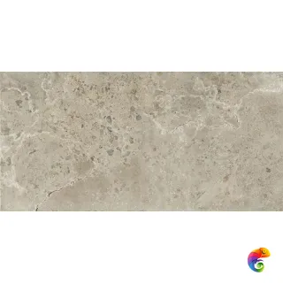 PIETRA VIVA BEIGE NAT RET  60X120