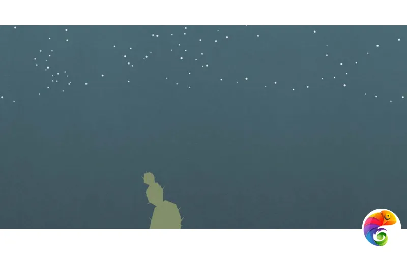 W&S D+  CP4 ARIZONA C 120X240