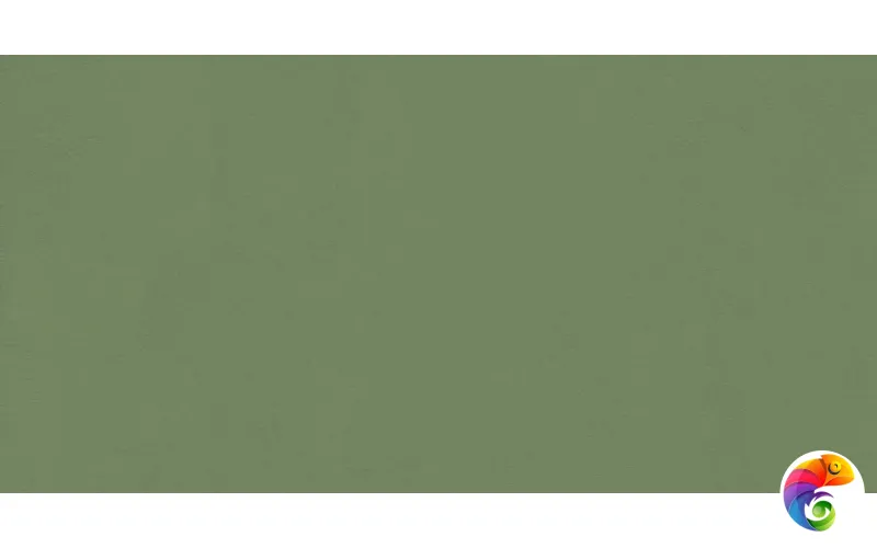 W&S D+  CP4 COUNTRY A  120X240