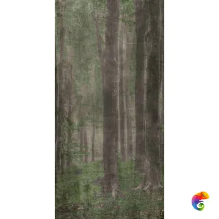 W&S D+ WOODS A   120x240