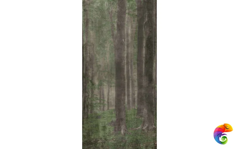 W&S D+ WOODS A   120x240