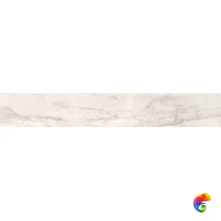 OYSTER RETT. 	20X120