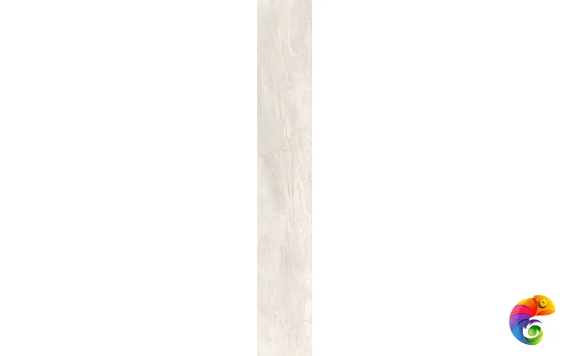 OYSTER RETT. 	20X120