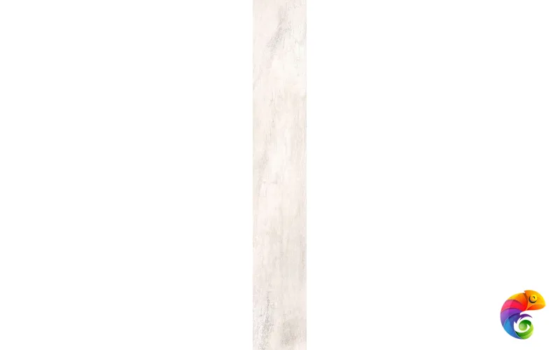 OYSTER RETT. 	20X120