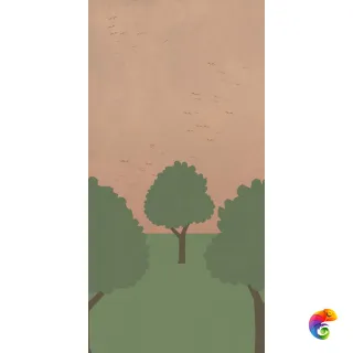 W&S D COUNTRY C  120x240