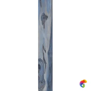 KAURI TASMAN NAT RETT	20x120