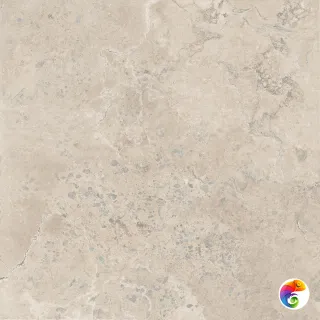 PTR.VIVA BEIGE ANT R120X120