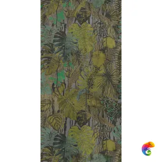 W&S D+ FOREST B 120X240