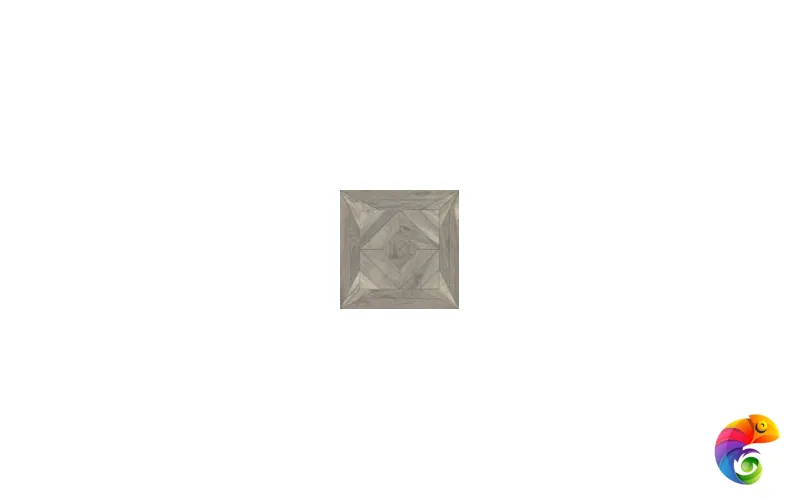 STEAM WORK ASH ANNA 30x30