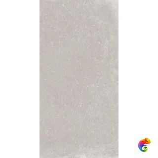 GENT ASH RET.  	60X120