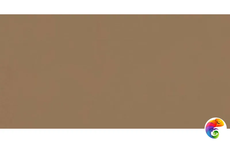 W&S D CP4 ARIZONA A 120X240