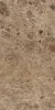 BRECCIA PARADISO BROWN LEVIGATO 60x120