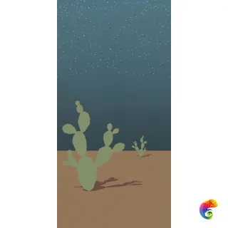 W&S D+ ARIZONA B 160X320