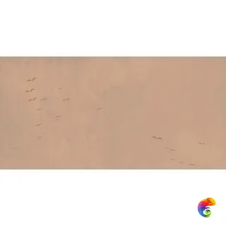 W&S D+  CP4 COUNTRY C  120X240