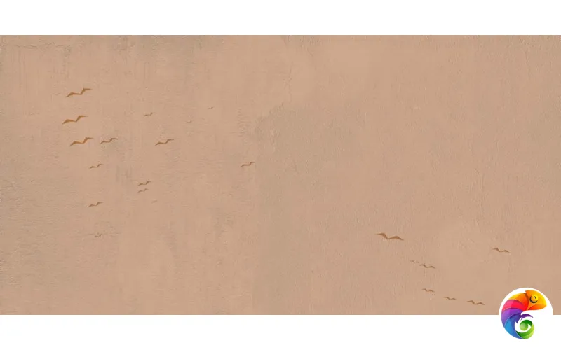 W&S D+  CP4 COUNTRY C  120X240