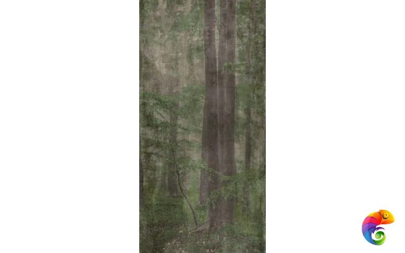 W&S D+ WOODS C   120x240