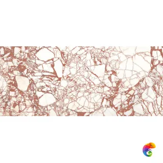 SUPREME HEDONISM CAL.DANTE LU3 R 120X280